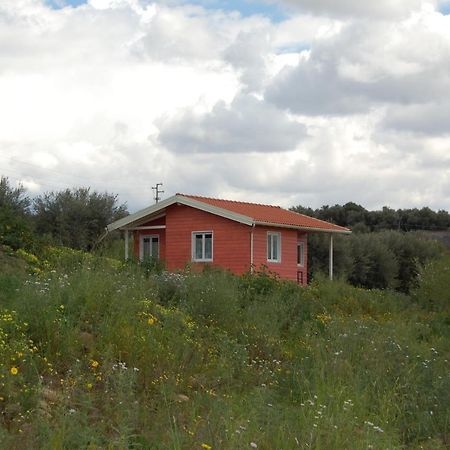 Apartmán Mandorleo Belpasso Exteriér fotografie