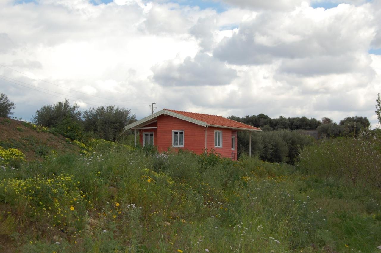 Apartmán Mandorleo Belpasso Exteriér fotografie